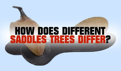 How does different saddle trees differ?