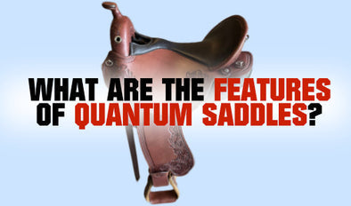 What are the features of Quantum Saddles?