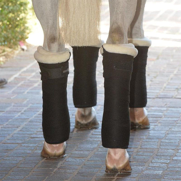 EquiFit SheepsWool™ T-Foam™ Standing Wraps EquiFit