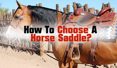 How to choose a saddle?