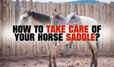 How to take care of your horse saddle?