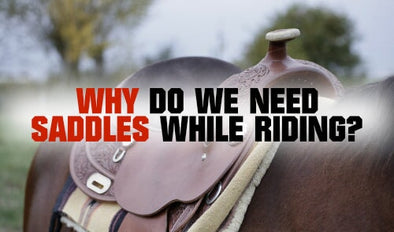 Why do we need saddles while riding?