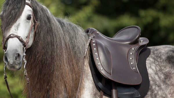 DP Saddlery Baroque Saddles